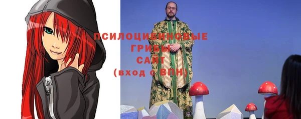 прущая мука Няндома